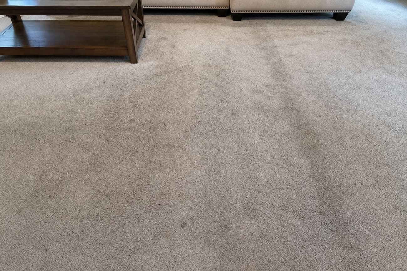 Living room wall-to-wall carpet with visible traffic-lane soiling before cleaning
