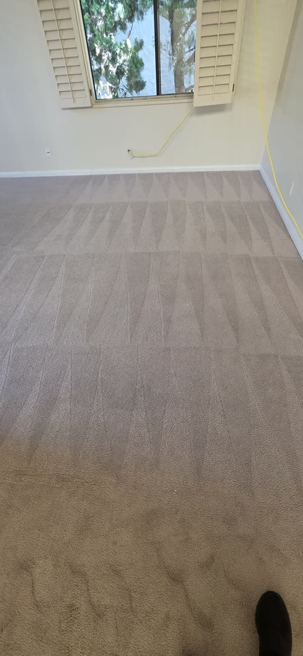 Bedroom carpet mid-cleaning, the near half already lifted clean in a fan pattern and the far half still soiled